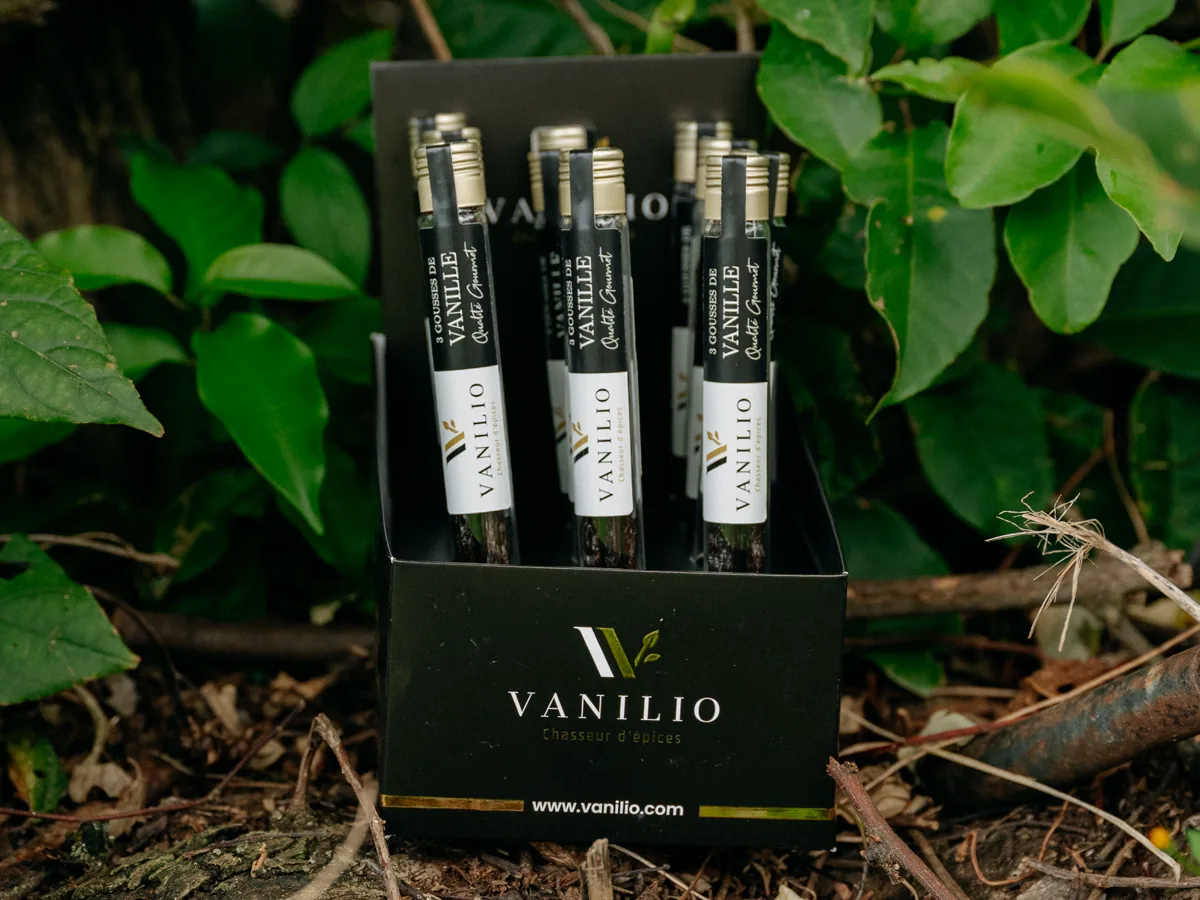 Coffret Vanilio de tubes de trois gousses de vanille, posé dans la végétation